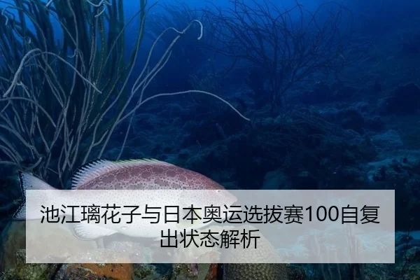 池江璃花子与日本奥运选拔赛100自复出状态解析