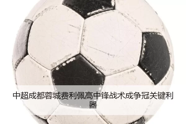 zhong-chao-cheng-du-rong-cheng-fei-li-pei-gao-zhong-feng-zhan-shu-cheng-zheng-guan-guan-jian-li-qi-3-209.jpg